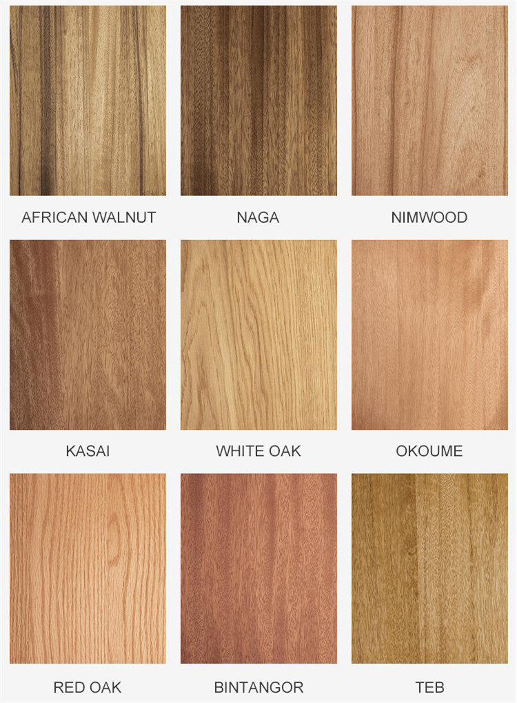 Chinese natural wood veneer