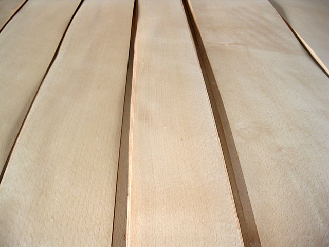 Beech wood veneer