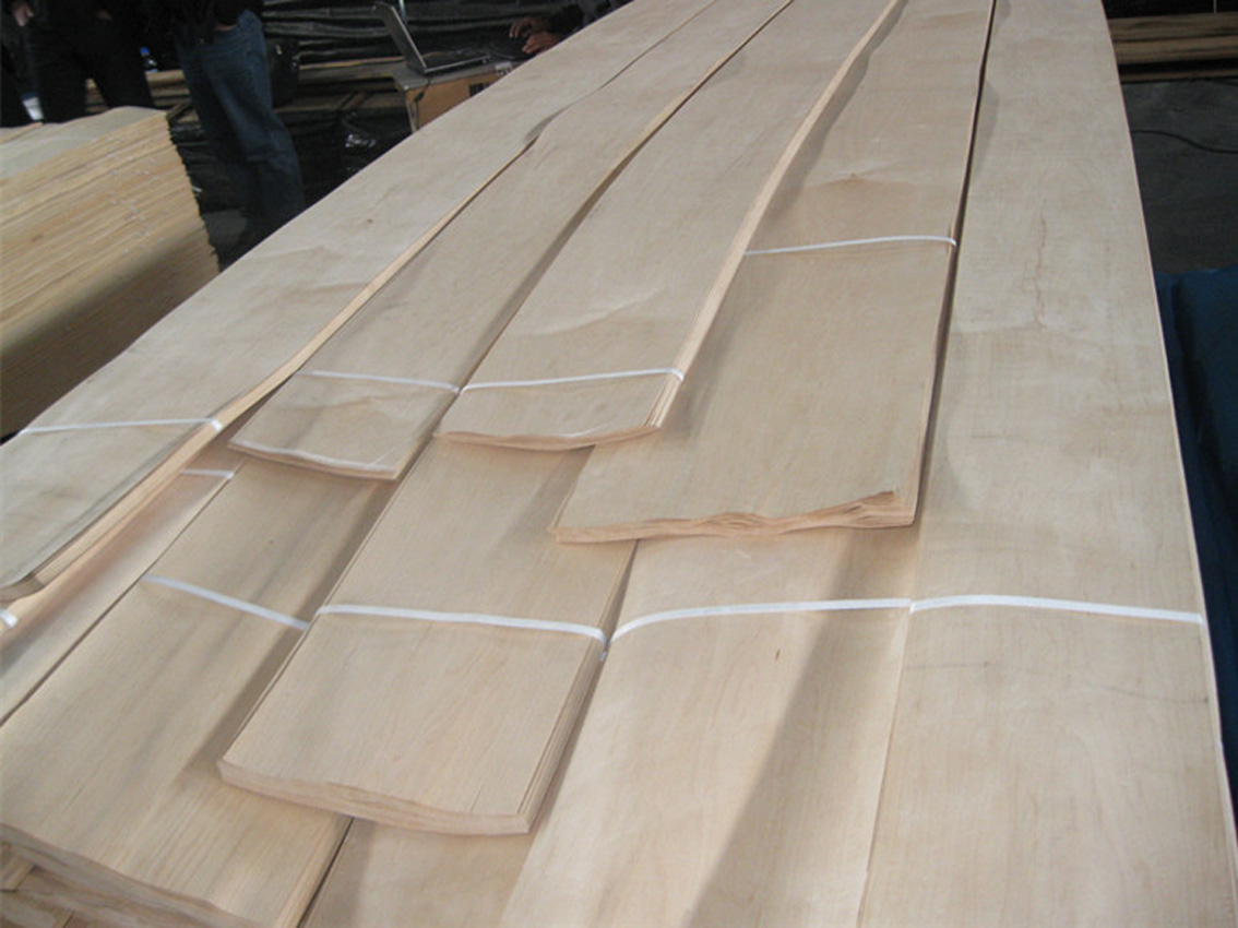 Crown cut American maple wood veneer