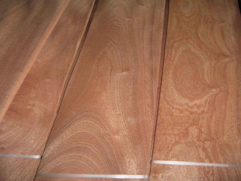 Crown cut Sapele wood veneer
