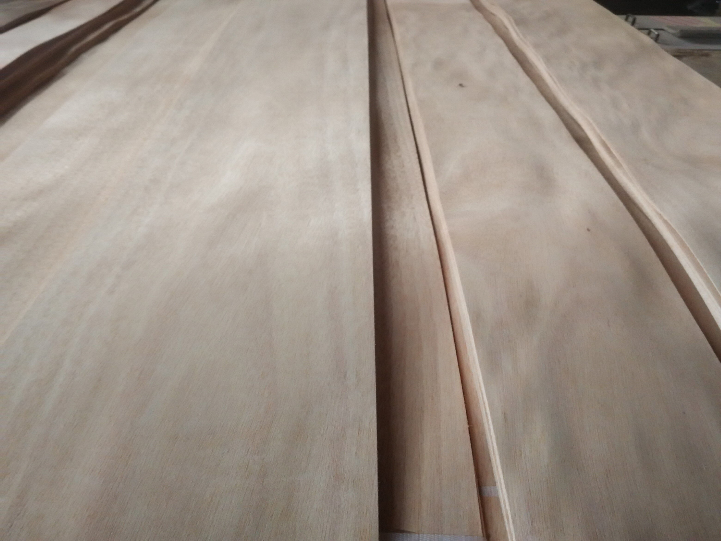 Crown cut okoume wood veneer